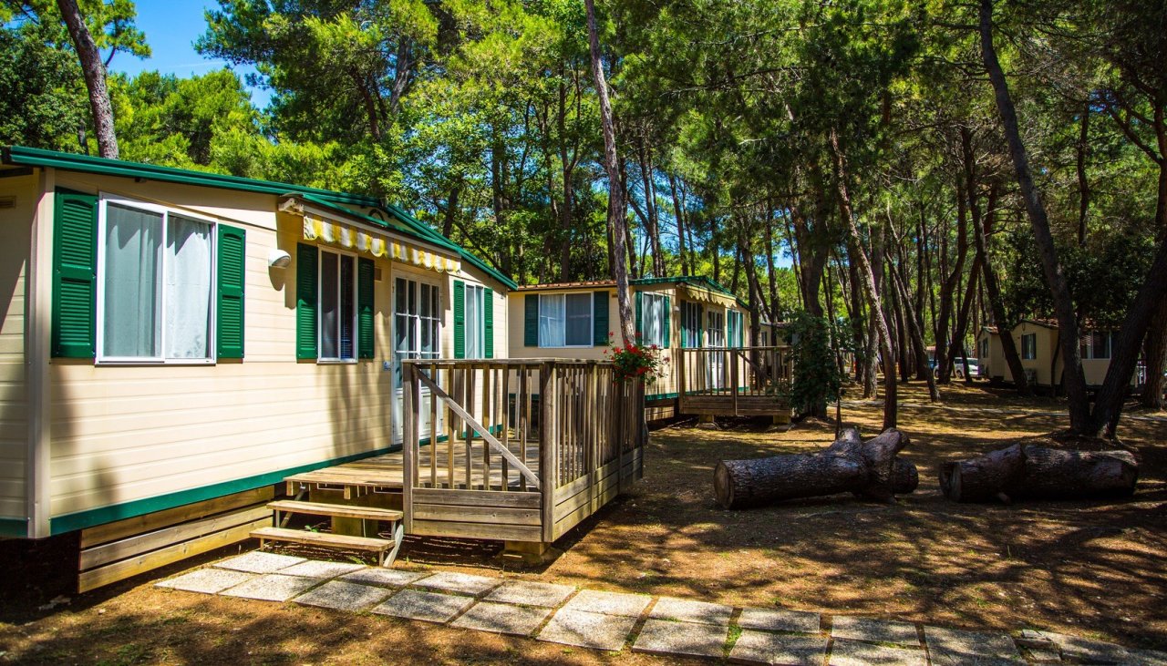 camp-medulin-pula-22-06_p5276.jpg