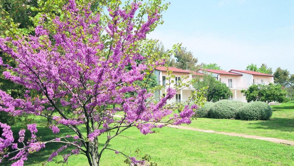 Ai Pini resort 