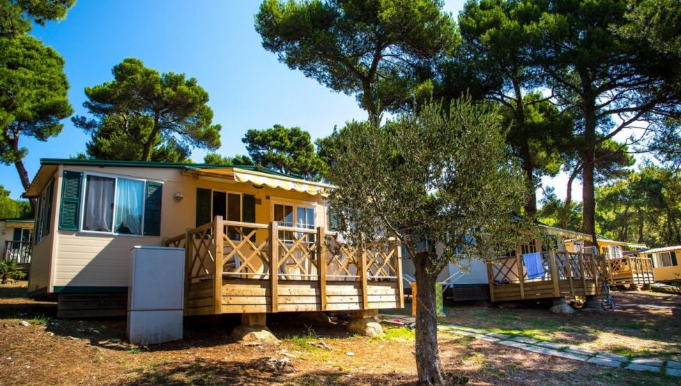 Arena Indije - mobile homes 