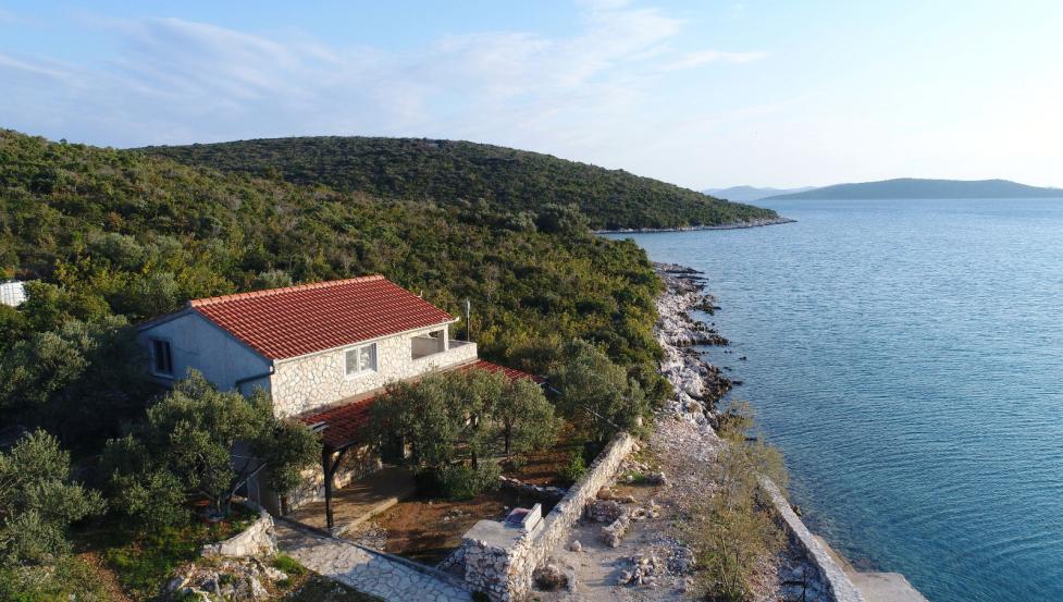 House Dolphin - island Pasman